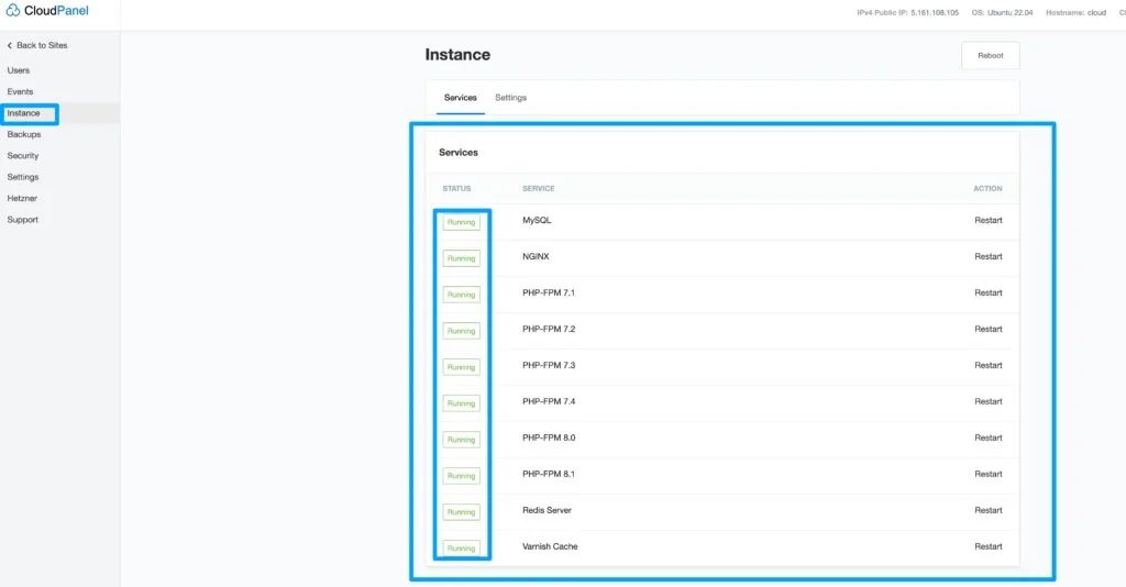 CloudPanel services status all running