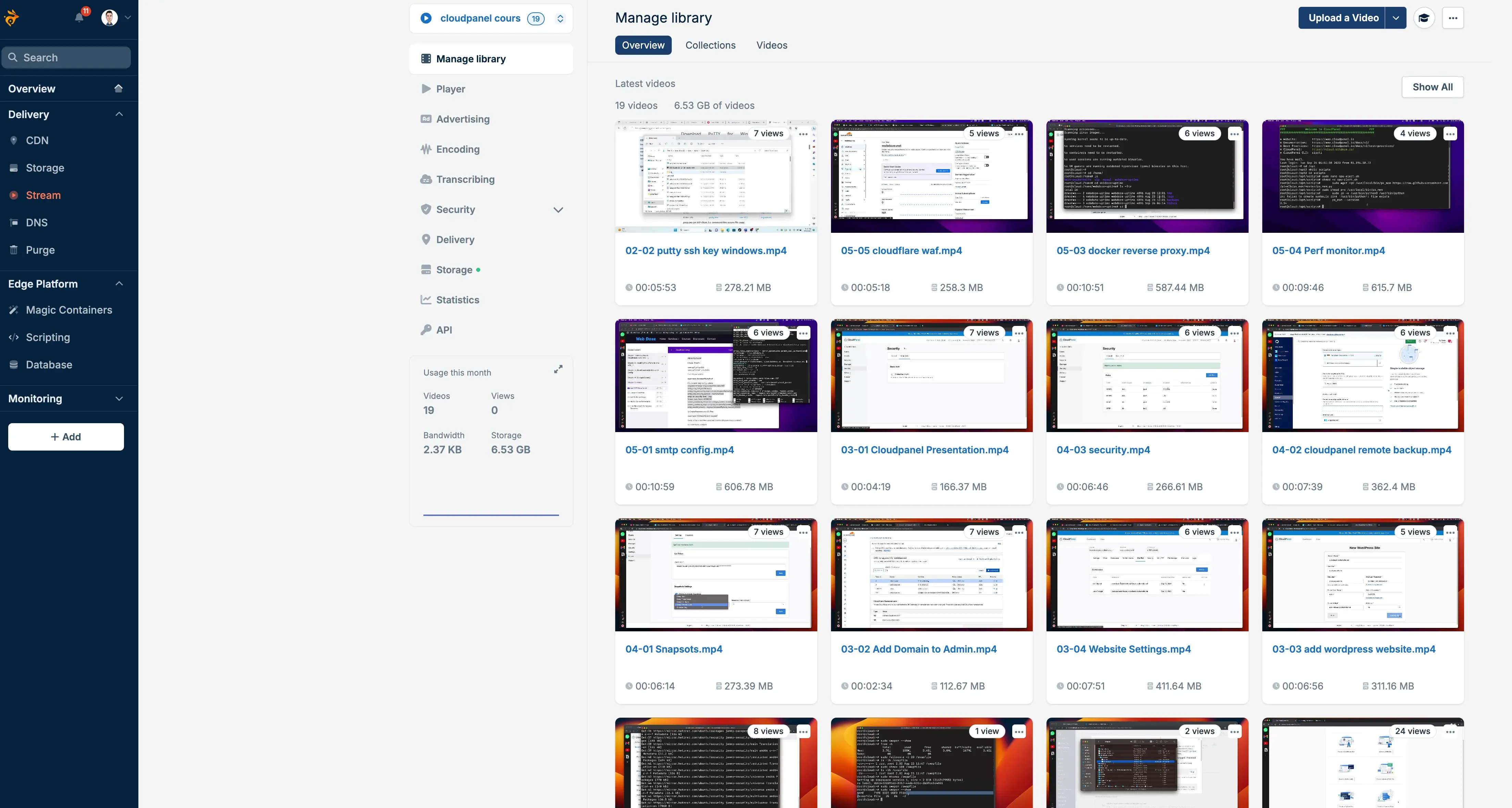 Bunny Stream video library interface