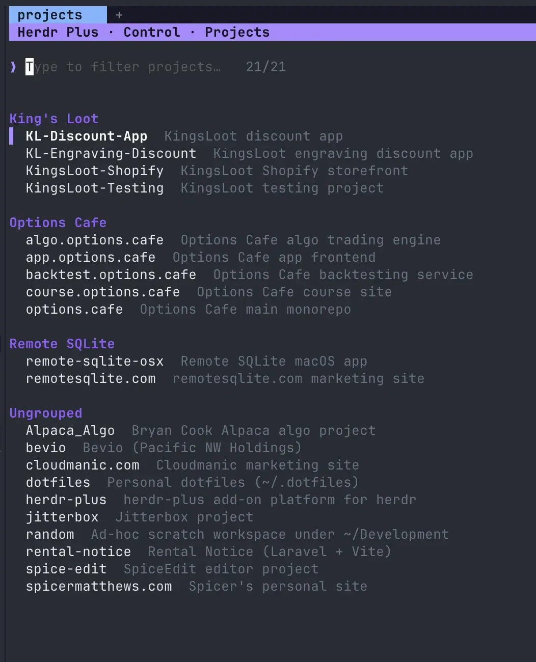 herdr-plus Projects picker: a fuzzy list of workspaces grouped by project, opened over a pane