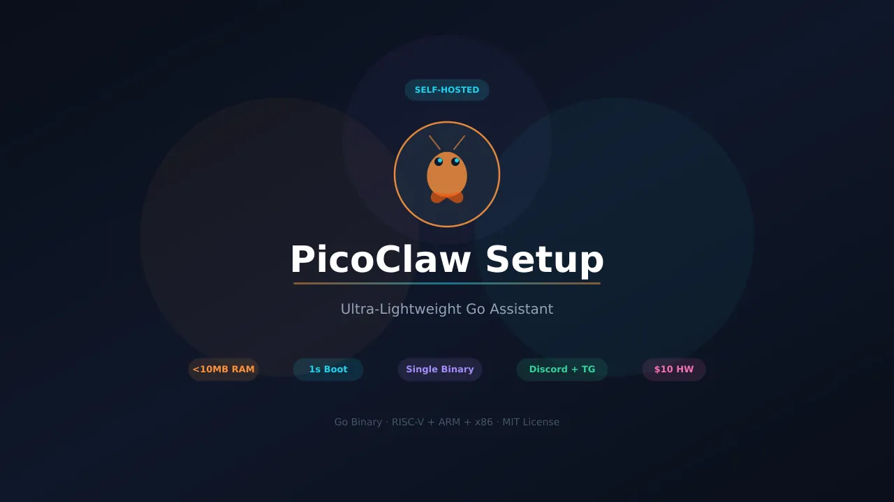 PicoClaw Setup Guide: Go Binary AI Assistant on $10 Hardware