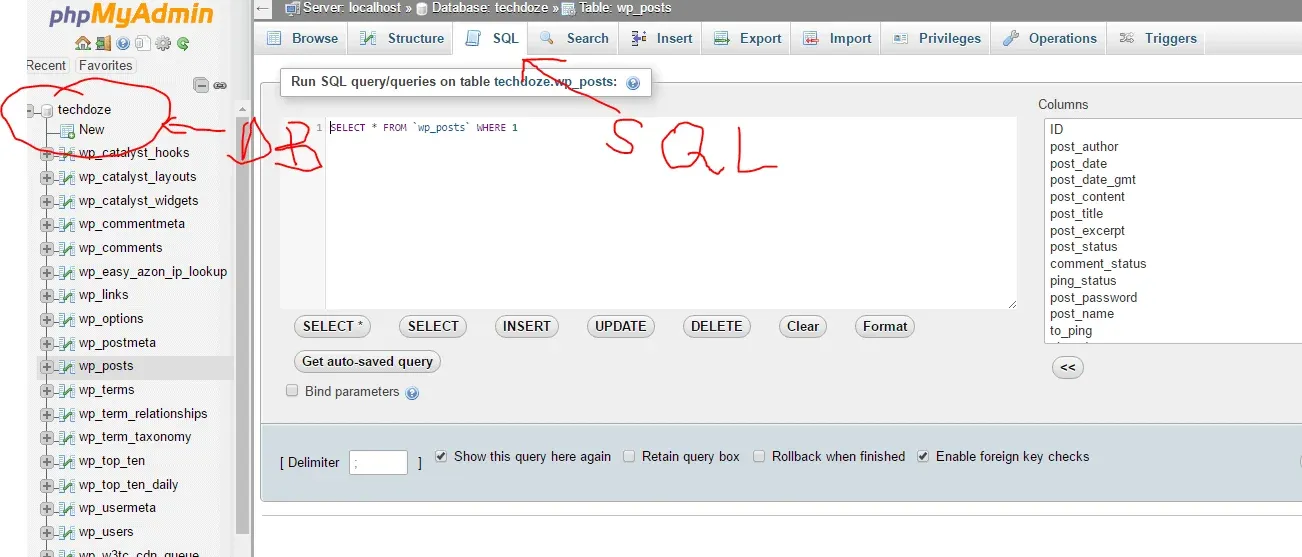 phpMyAdmin SQL tab